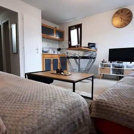 Super Appartement Cocooning Vu Mont Blanc 萨莱切 外观 照片