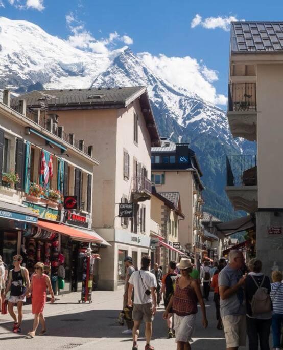 Super Appartement Cocooning Vu Mont Blanc 萨莱切 外观 照片