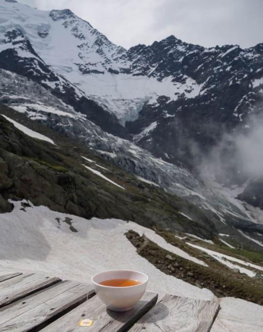 Super Appartement Cocooning Vu Mont Blanc 萨莱切 外观 照片
