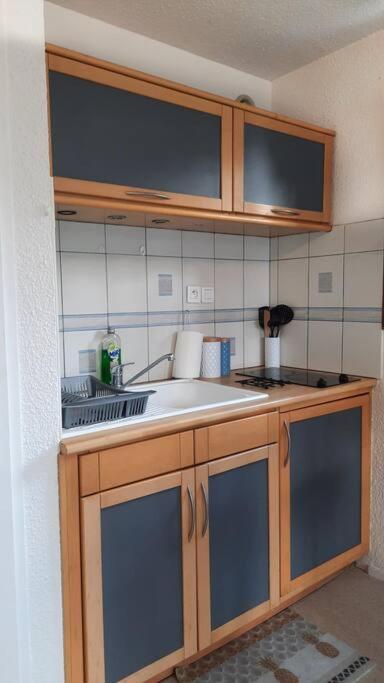 Super Appartement Cocooning Vu Mont Blanc 萨莱切 外观 照片