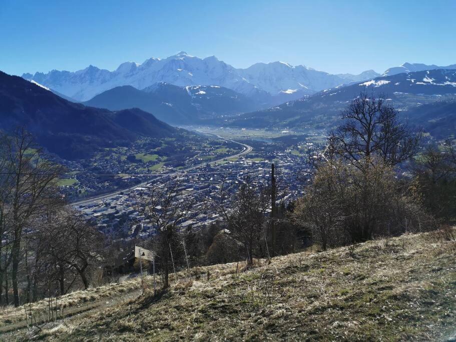 Super Appartement Cocooning Vu Mont Blanc 萨莱切 外观 照片