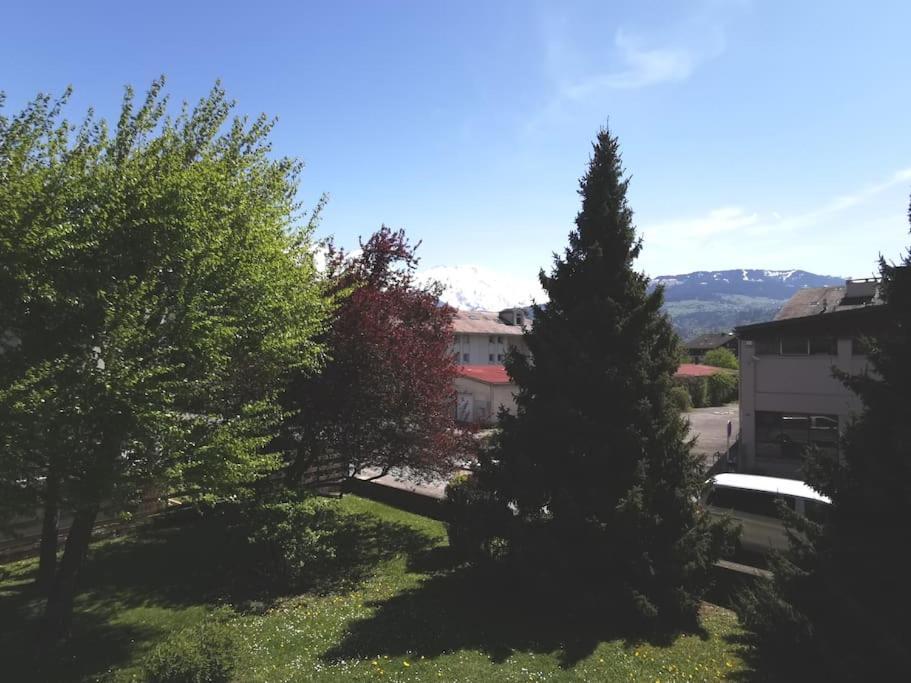 Super Appartement Cocooning Vu Mont Blanc 萨莱切 外观 照片