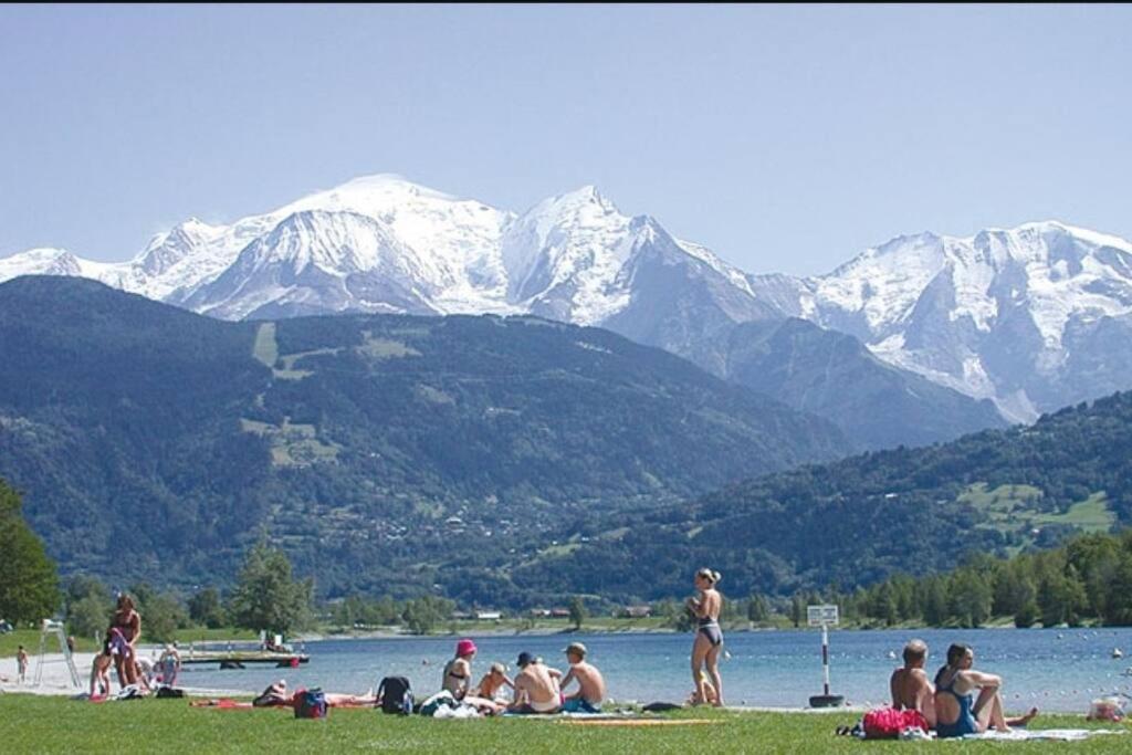 Super Appartement Cocooning Vu Mont Blanc 萨莱切 外观 照片