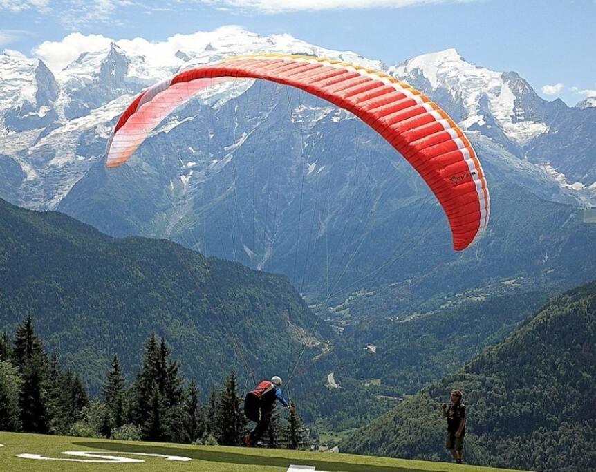 Super Appartement Cocooning Vu Mont Blanc 萨莱切 外观 照片